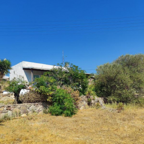 Spitaki Milos